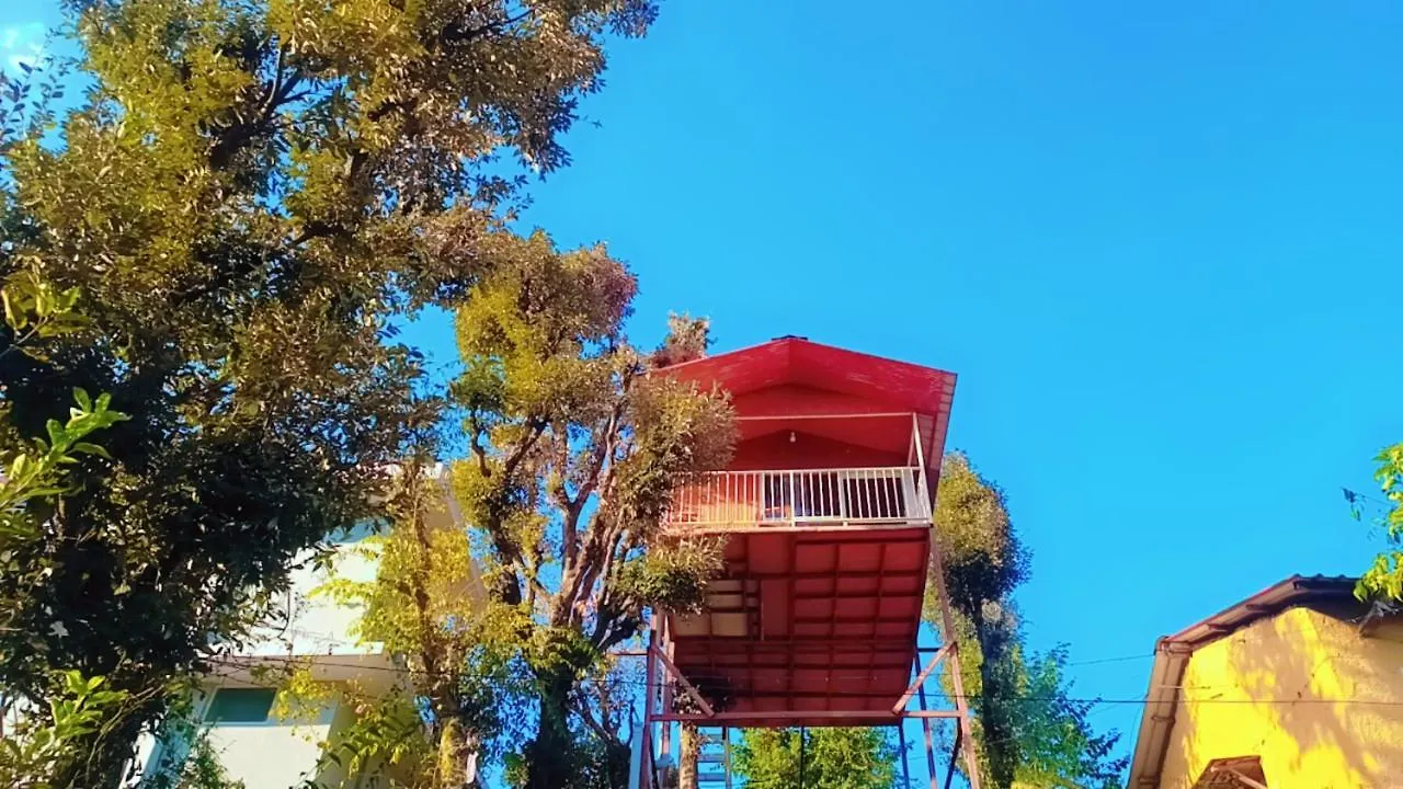 Tree House By The City Escape Shimla